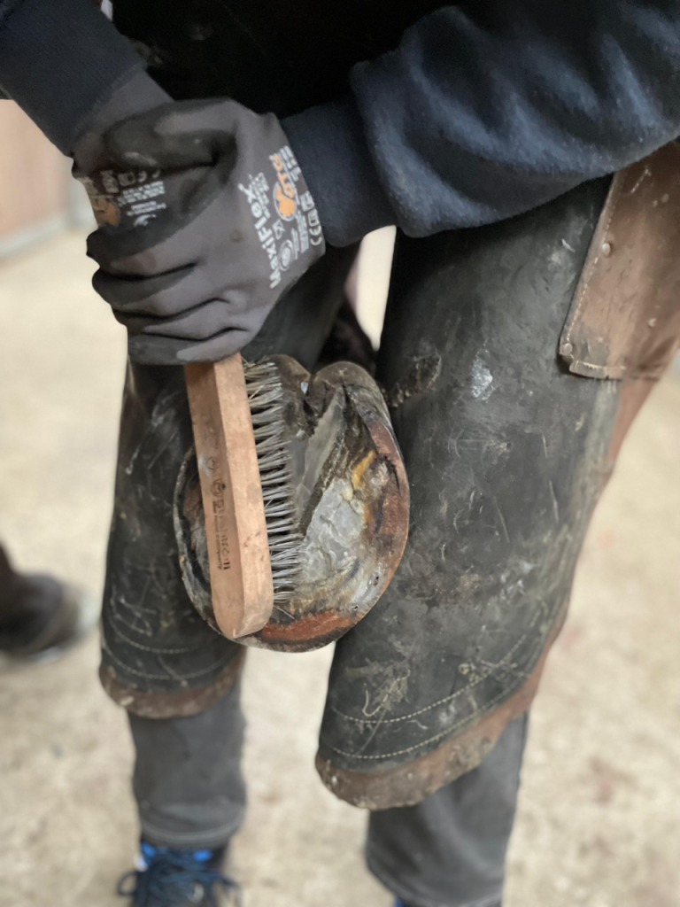 Step 1: preparing and cleaning the hoof