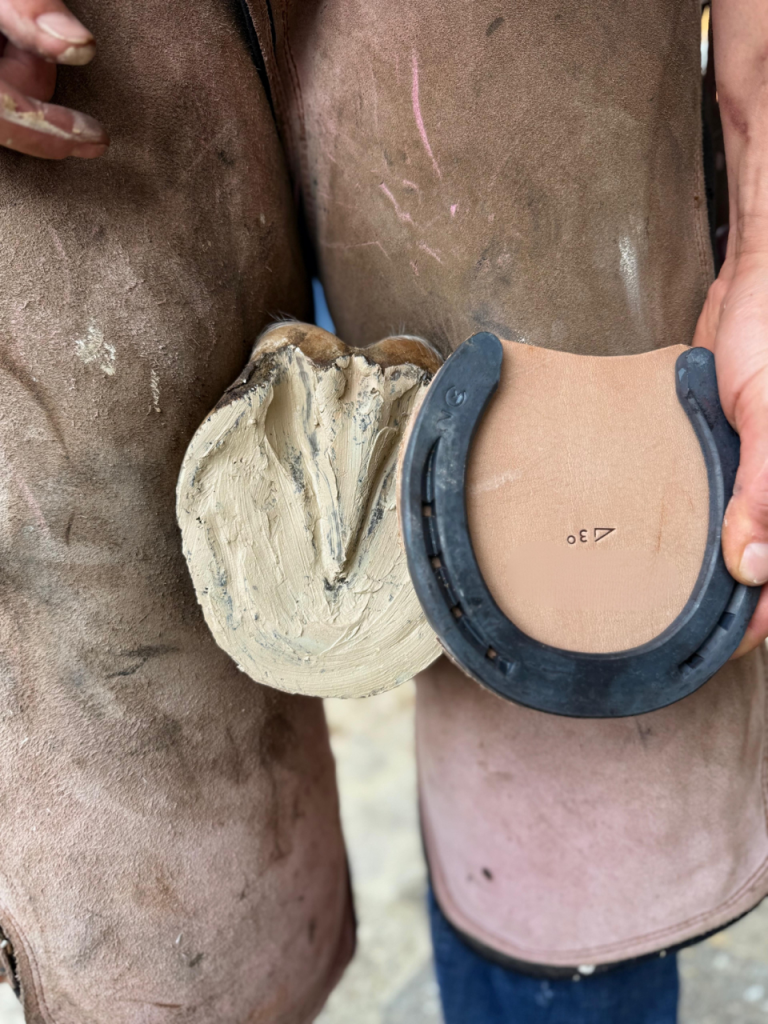Step 3: using Strahlfoili with pads and glue-on shoes
