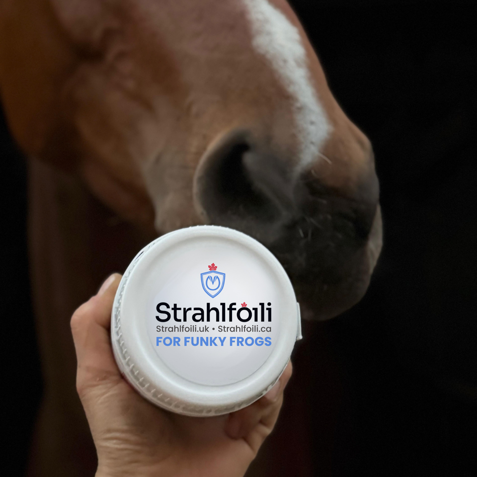 Strahlfoili - Image 6